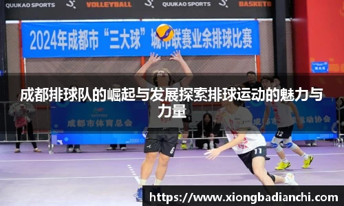 3377官网
